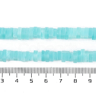 Handmade Lampwork Beads Strands LAMP-Q037-02B-09-1