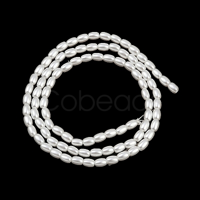 Electroplated Shell Pearl Beads Strands BSHE-H113-06B-06-1