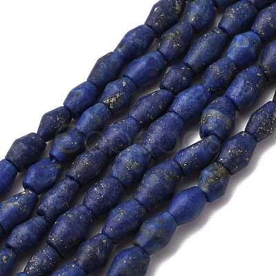 Natural Lapis Lazuli Beads Strands G-F808-J01-01-1