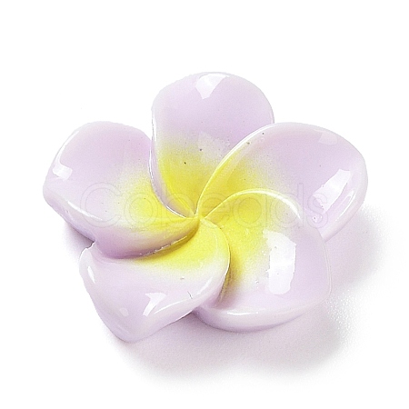 Opaque Resin Cabochons RESI-G068-02E-1