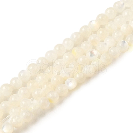 Natural White Shell Beads Strands SHEL-M021-03B-1