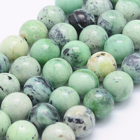 Natural Green Grass Jasper Beads Strands G-J373-03-9.5mm-1