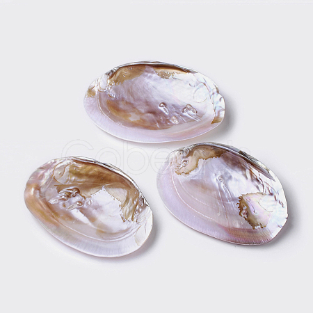 Natural Freshwater Pearl Shell Decoration SHEL-K002-01A-1