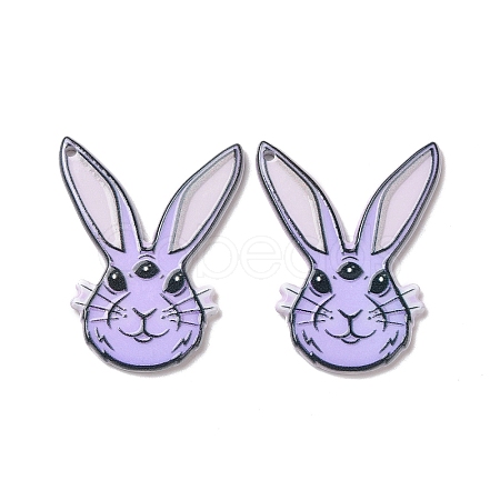 Printed  Acrylic Pendants SACR-G030-04F-1
