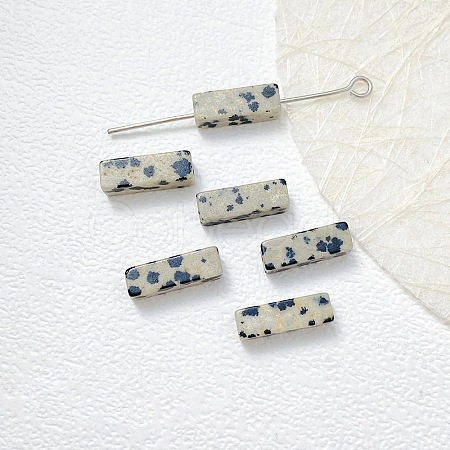 Natural Dalmatian Jasper Beads LS-G-G137-01N-1