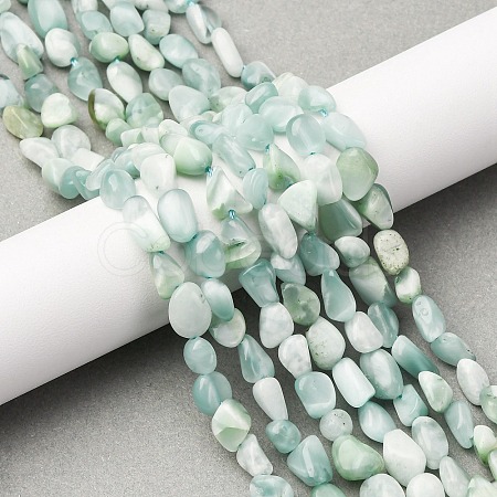 Natural Glass Beads Strands G-K395-A02-01-1