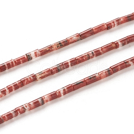 Natural Red Jasper Beads Strands G-G783-16-1