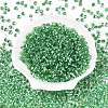 6/0 Baking Paint Transparent Fringe Glass Seed Beads X1-SEED-N006-06K-2