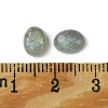 Natural Labradorite Cabochons G-A094-01B-11-3