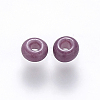 6/0 Baking Paint Glass Round Seed Beads SEED-S036-01C-18-2