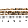 Natural Picture Jasper Beads Strands G-P572-A01-01-5