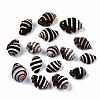 Natural Spiral Shell Beads SSHEL-T014-06-1