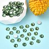 Preciosa® MAXIMA Crystal No Hotfix Flatback Stones Y-PRC-NSS16-50010-2