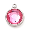 304 Stainless Steel Charms STAS-I165-04A-P-2
