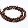 Frosted Natural Tiger Eye Beads Strands G-F364-18-6mm-2