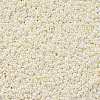 11/0 FGB Grade A Round Glass Seed Beads SEED-N001-B-0482-2