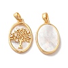 Brass Shell Pendants X-KK-M243-34G-1