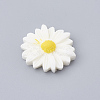 Resin Cabochons CRES-N007-10M-1
