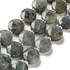 Natural Labradorite Beads Strands G-NH0004-001-1