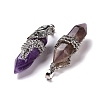 Natural Amethyst Pendants G-E059-02AS-01-3