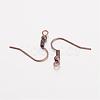 Brass Earring Hooks EC135Y-NFR-2