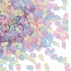 Luminous Transparent Acrylic Beads LACR-D009-01J-2