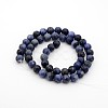 Sodalite Round Bead Strands G-P070-46-4mm-2