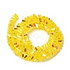 Transparent Glass Beads Strands X-EGLA-P061-04A-AB08-2