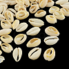 Natural Mixed Cowrie Shell Beads X-BSHE-S053-01-1