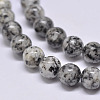 Natural Sesame Jasper/Kiwi Jasper Beads Strands X-G-F351-10mm-1