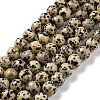 Natural Dalmatian Jasper Beads Strands G-Q462-10mm-30-2