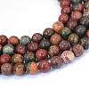 Natural Picasso Stone/Picasso Jasper Beads Strands G-E334-8mm-10-1