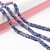 Natural Blue Spot Jasper Beads Strands G-K326-04-2