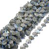 Raw Rough Natural Labradorite Beads Strands G-E576-21-1