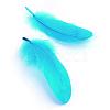 Goose Feather Costume Accessories FIND-Q044-08-2
