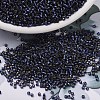 MIYUKI Delica Beads SEED-X0054-DB2191-1