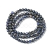 Natural Sapphire Beads Strands G-F748-M01-02-3