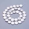 Shell Pearl Beads Strands BSHE-P030-01B-1
