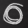 Natural Trochid Shell/Trochus Shell Beads Strands X-SSHEL-O001-24B-02-2