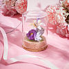 Empty Glass Jar AJEW-WH0083-46B-4