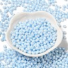6/0 Glass Seed Beads SEED-M012-01A-15-2