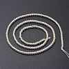 Electroplate Glass Beads Strands EGLA-K014-A-FR05-3