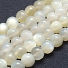 Natural White Moonstone Beads Strands G-P342-02A-12mm-AB-1