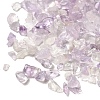 Natural Amethyst Chip Beads G-O103-10-4