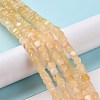 Natural Quartz Beads Strands G-C023-09C-2
