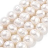 Natural Cultured Freshwater Pearl Beads Strands PEAR-C003-19A-2