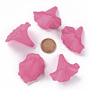 Transparent Acrylic Beads BSF796-C16-5