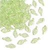 Transparent Acrylic Charms TACR-F009-11B-1