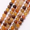 Natural Petrified Wood Bead Strands G-K146-42-3mm-1