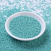 MIYUKI Round Rocailles Beads SEED-G007-RR0485-2
